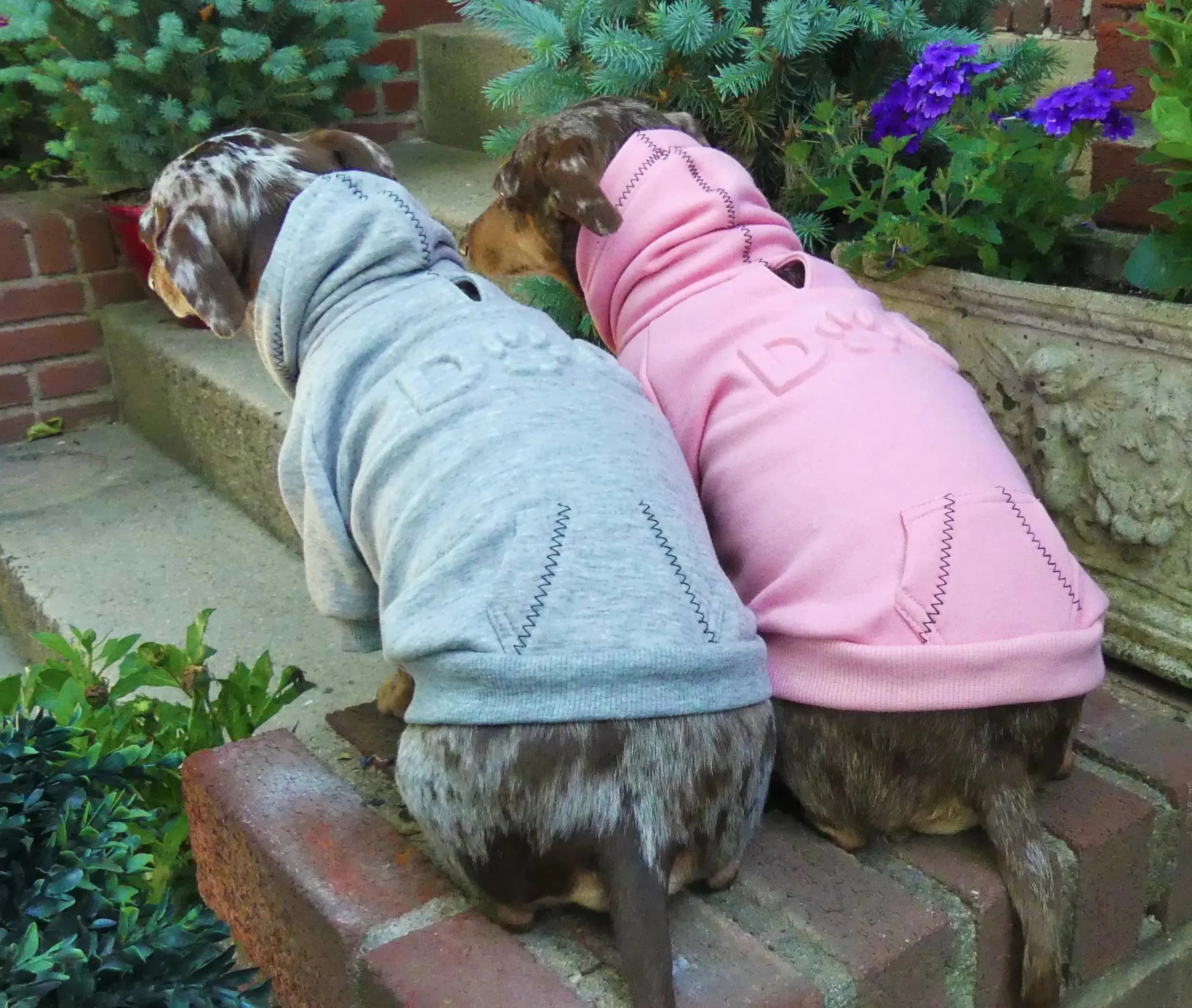 Dog Embossed Fleece Dog Hoodie Sweatshirt XXS to 100  LBS