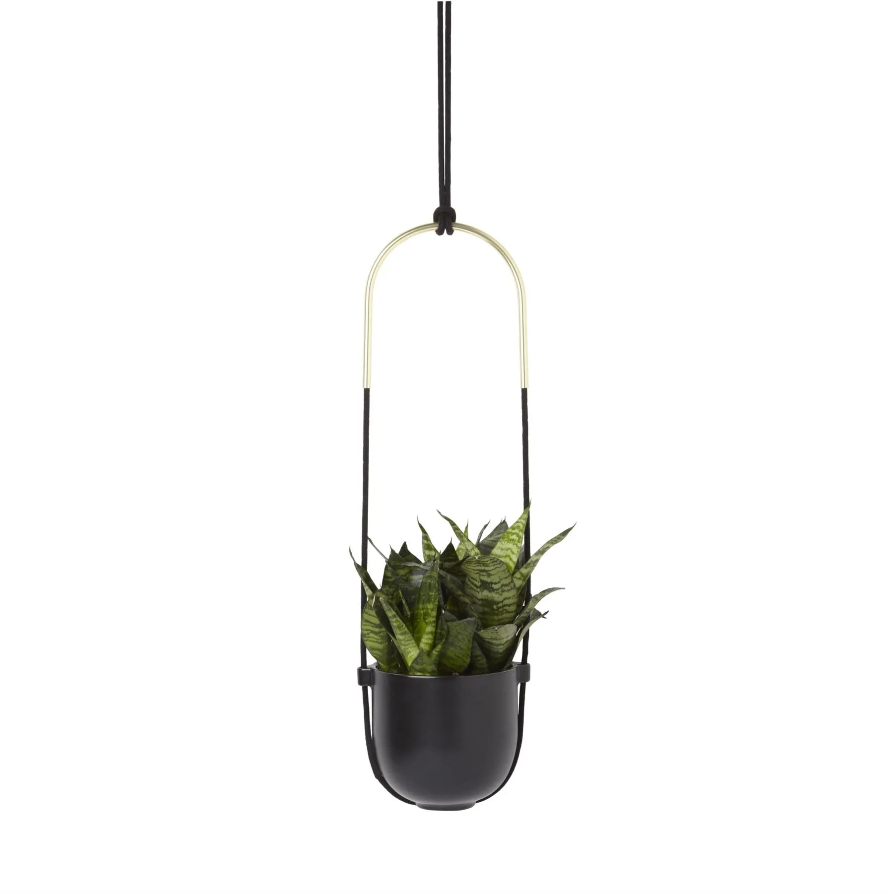 Umbra Bolo Indoor Hanging Planter