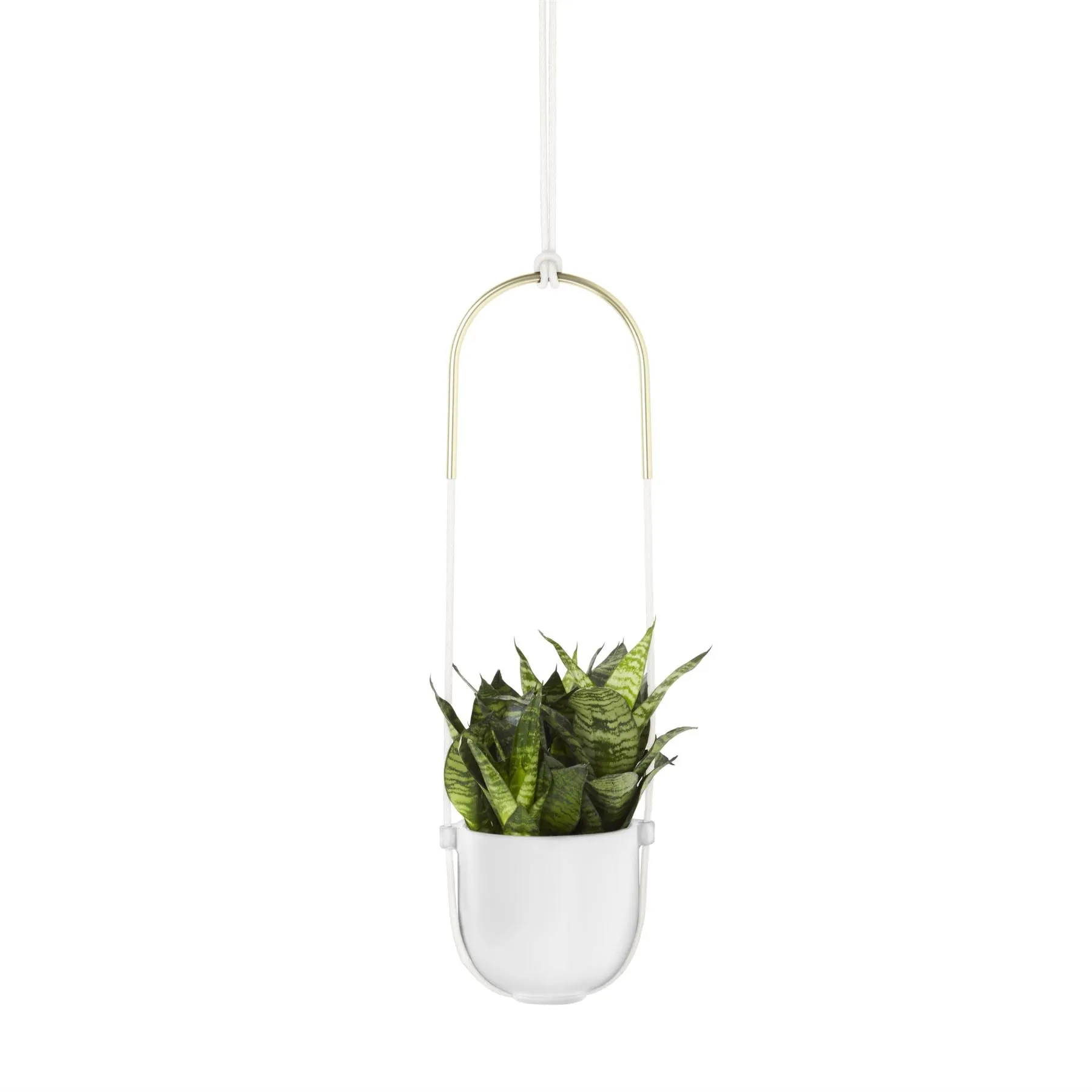 Umbra Bolo Indoor Hanging Planter