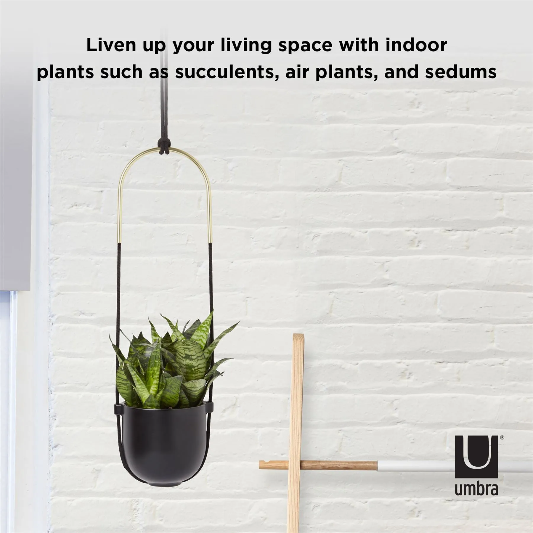 Umbra Bolo Indoor Hanging Planter