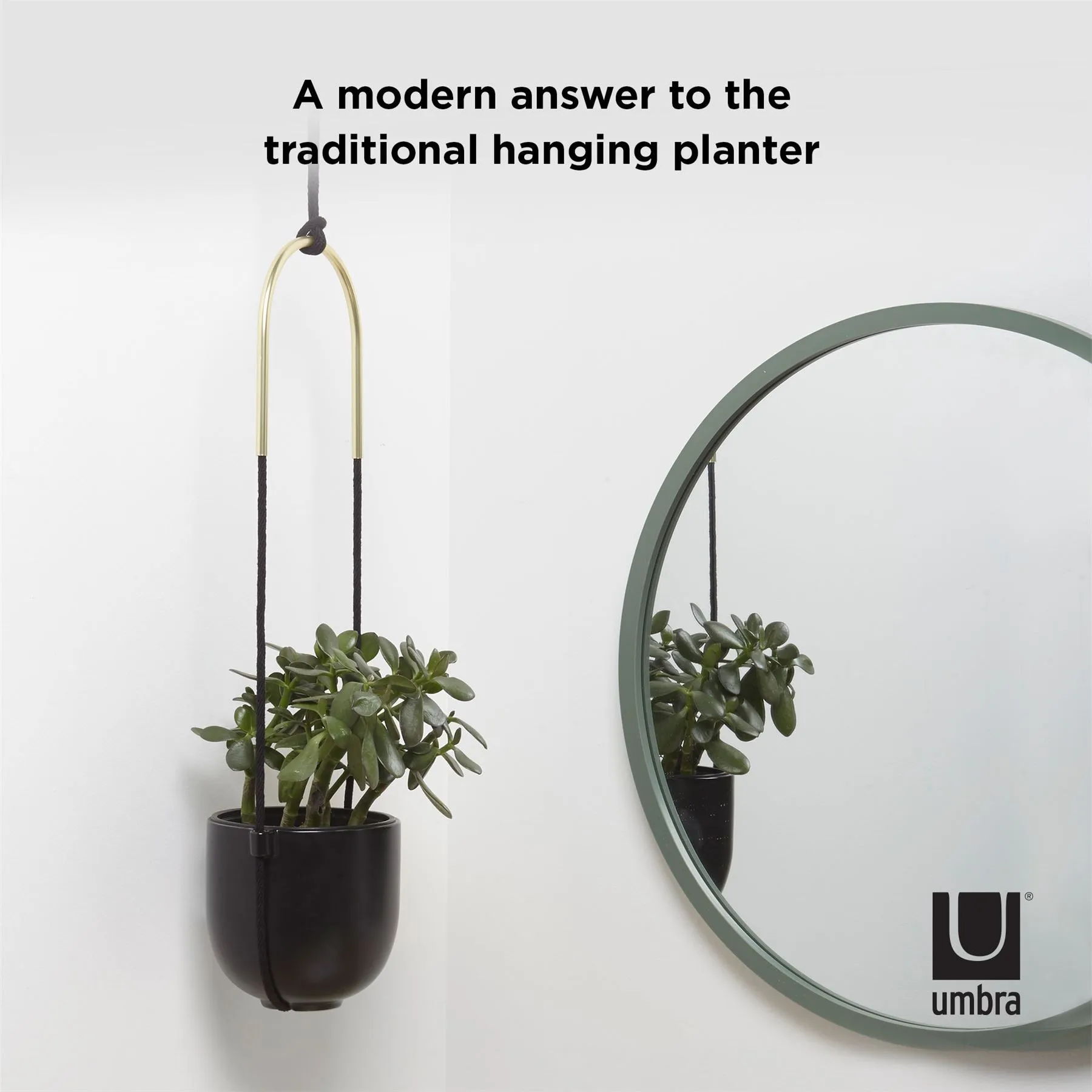 Umbra Bolo Indoor Hanging Planter