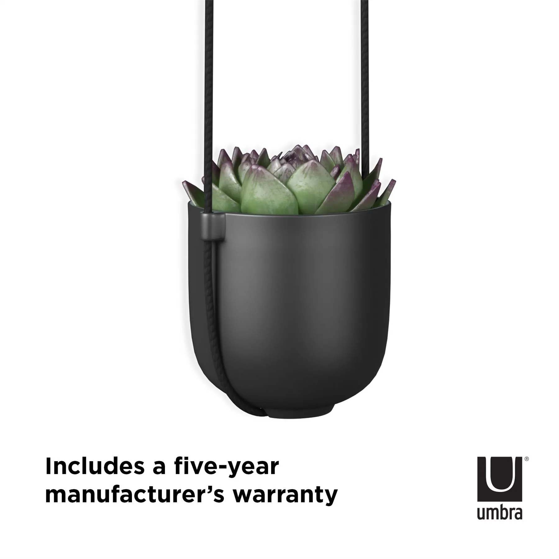 Umbra Bolo Indoor Hanging Planter