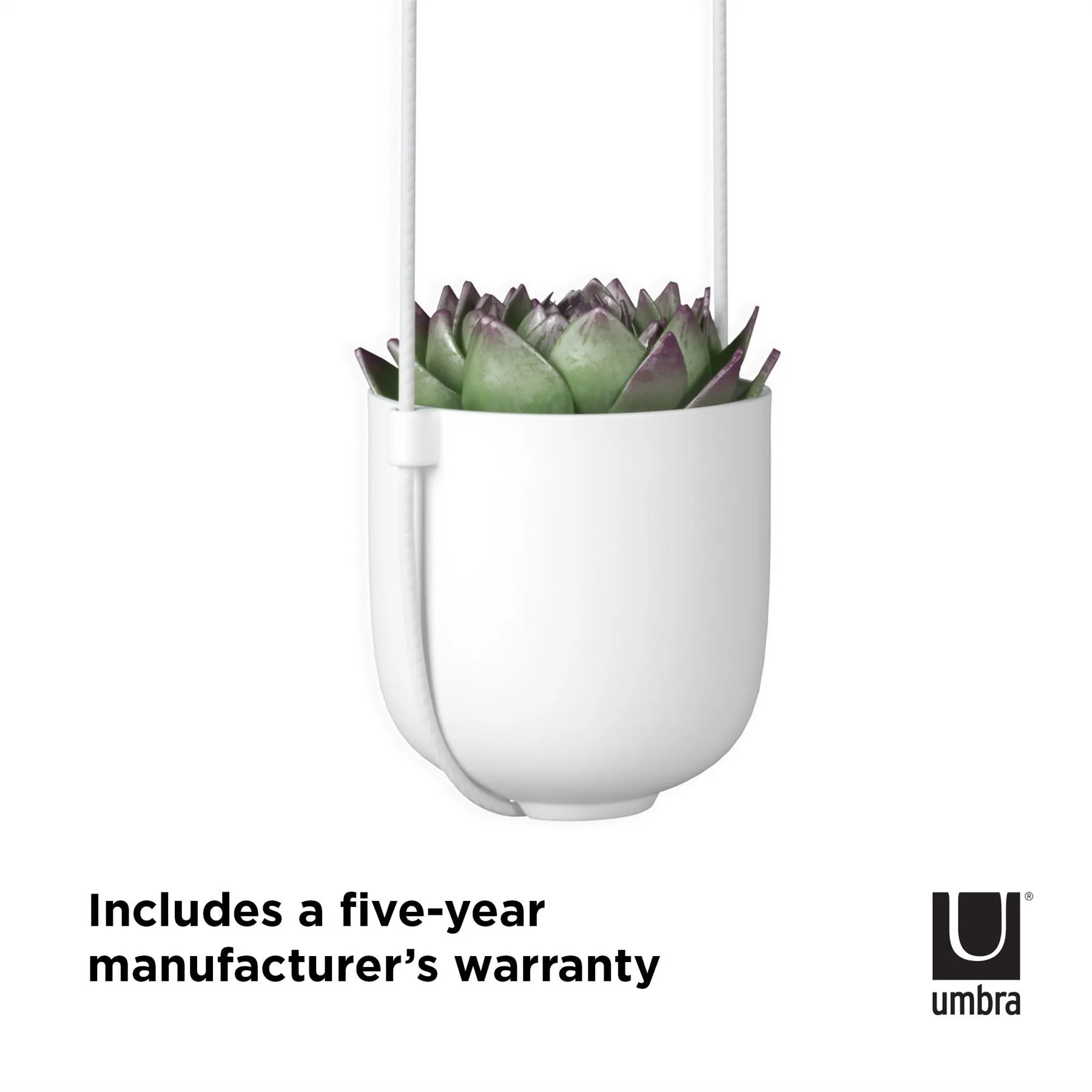 Umbra Bolo Indoor Hanging Planter