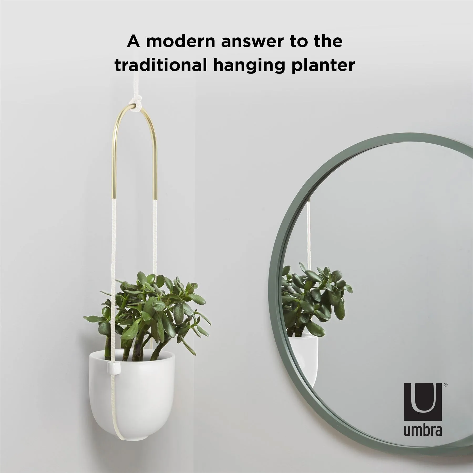 Umbra Bolo Indoor Hanging Planter