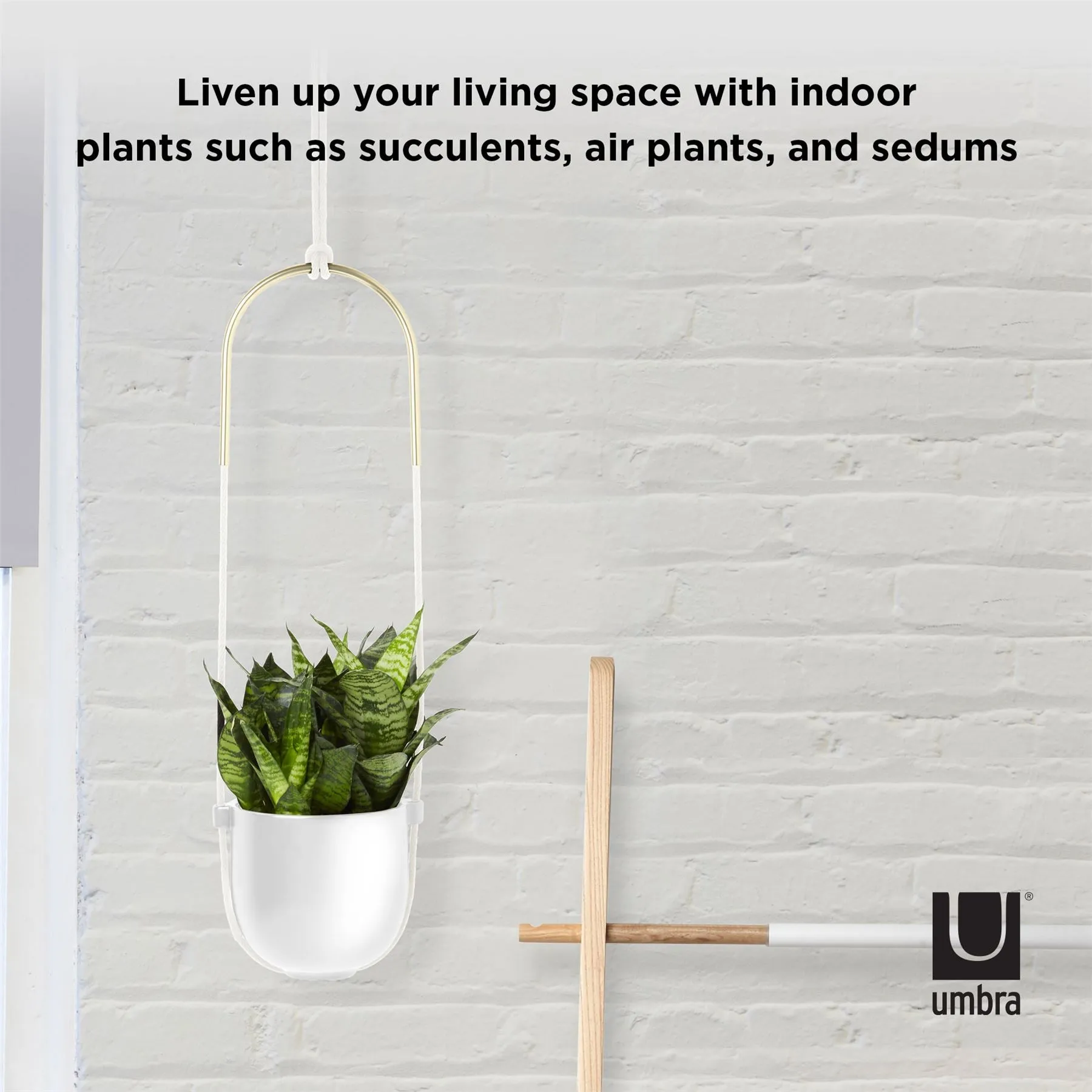 Umbra Bolo Indoor Hanging Planter