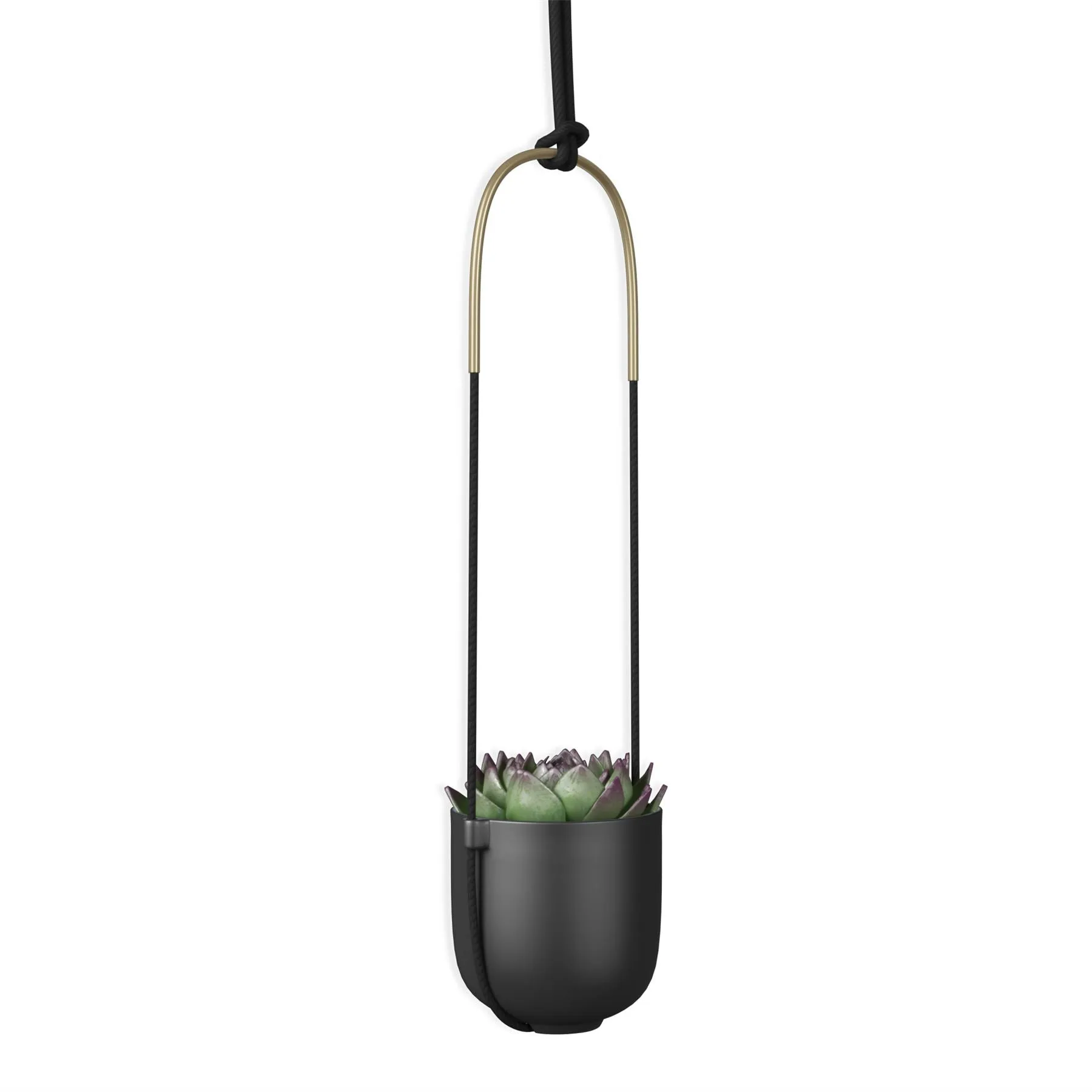 Umbra Bolo Indoor Hanging Planter